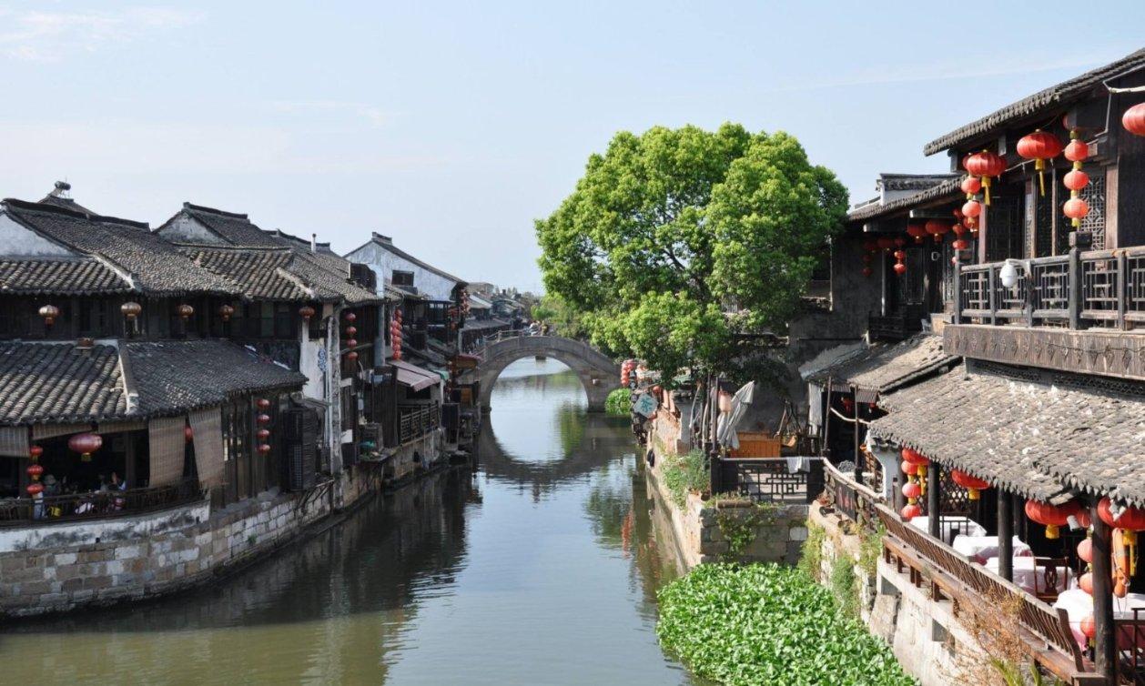 拯救昆虫群